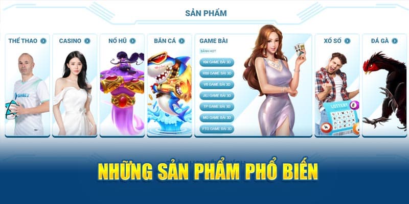 Top những danh mục được hội viên săn đón nhất hiện nay