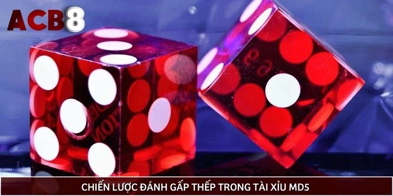 Chiến lược đánh gấp thếp trong tài xỉu md5