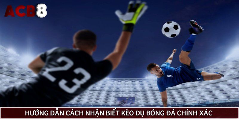 Hướng dẫn cách nhận biết kèo dụ bóng đá chính xác