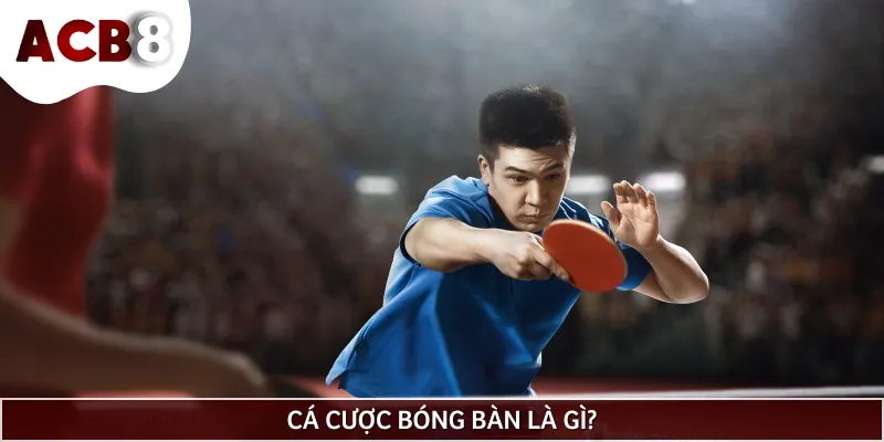 Cá cược bóng bàn là hình thức giải trí dự đoán kết quả cuối cùng