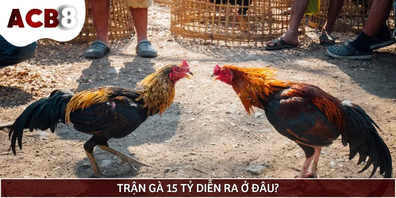Trận gà 15 tỷ trước đây đã từng gây sốt trong cộng đồng